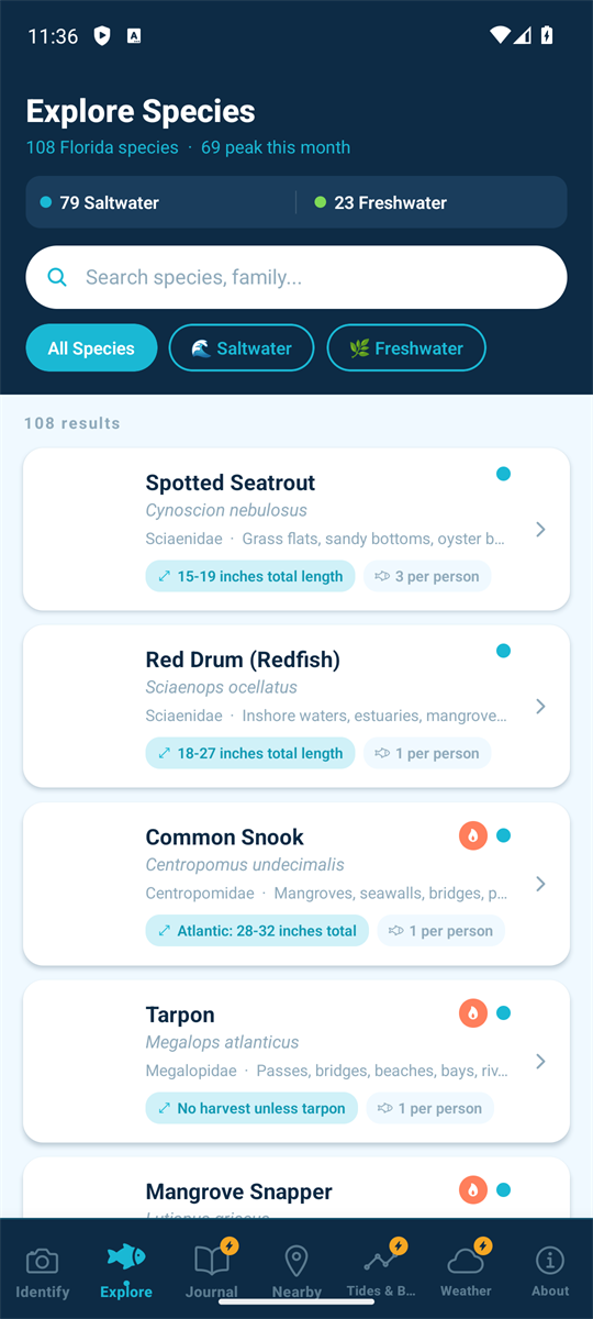 The HookID Explore screen listing 108 Florida species with a 79 saltwater and 23 freshwater breakdown, a search box, and species cards for Spotted Seatrout, Red Drum, Common Snook, Tarpon and Mangrove Snapper with their size and bag limits