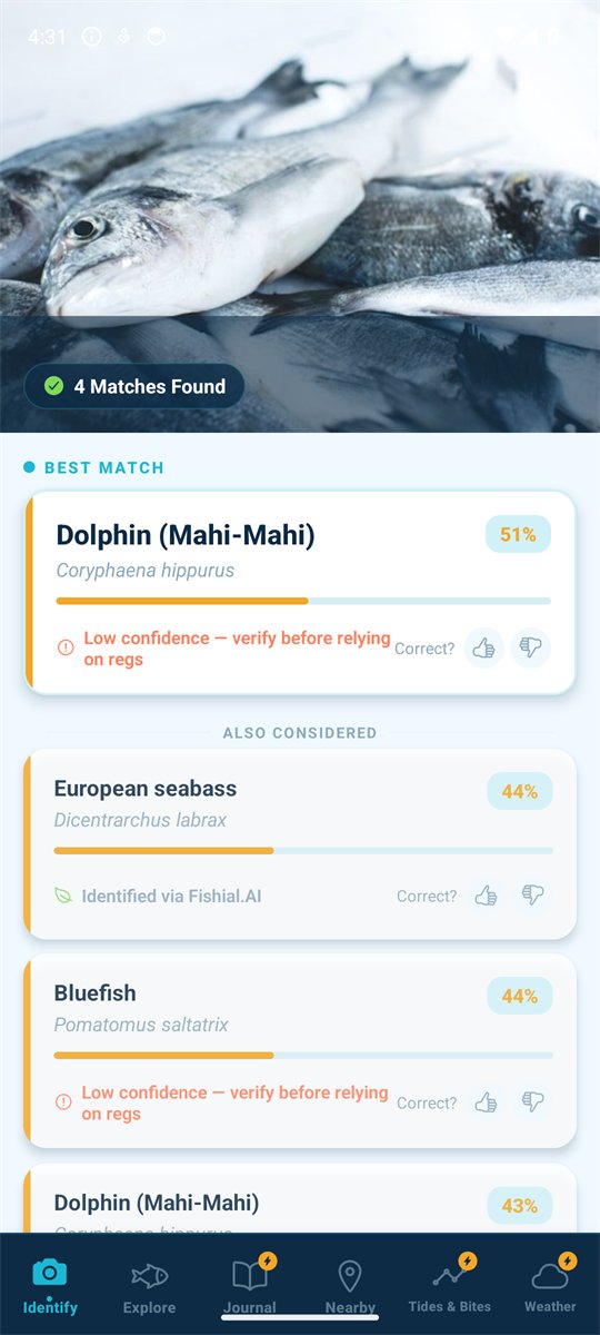 HookID identification results in the app: a photo of the catch, a 'BEST MATCH' card with the species name, scientific name and a confidence score, a low-confidence warning, and 'ALSO CONSIDERED' alternatives identified via Fishial.AI